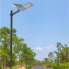 Halo Solar LED Street Light