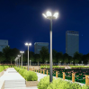 Lotus Lamp post-LZJMLD-303-A