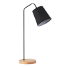 Floor Lamp-LZHX-L9103