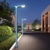 Love Bird Street light-LZJMLD-505-A