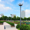 Lotus Lamp post-LZJMLD-303-A
