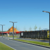 Love bird Street Light-LZJMLD-505-D