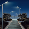 Love Bird Street Light-LZJMLD-505-E