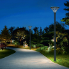 Flower Lamp post LZJMLD-707-A