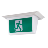 Led Bulkhead Emergency Light-LZ518