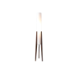 Floor Lamp-LZHX-L9036