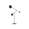 Floor Lamp-LZHX-L9025