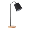 Floor Lamp LZHX-L9103