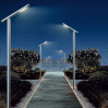 Love Bird Street Light – LZJMLD-505-E