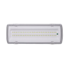 LED Bulkhead Emergency Light LZ507L50