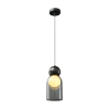 Pendant Light-LZHX-D171