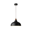 Pendant Light-LZHX-D213