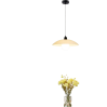 Pendant Light-LZHX-D133