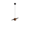 Pendant Light-LZHX-D149