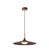 Pendant Light-LZHX-D261
