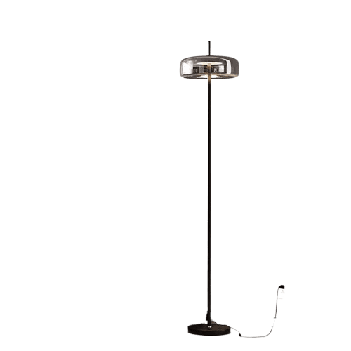 Floor Lamp LZHX-T1236