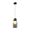 Pendant Light-LZHX-D171