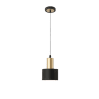 Pendant Light LZHX-D235