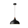 Pendant Light-LZHX-D213