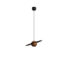 Pendant Light-LZHX-D149