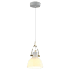 Pendant Light-LZHX-D209