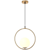 Pendant Light LZHX-D244